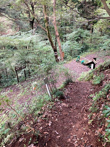 秋の高尾山は人でいっぱい。