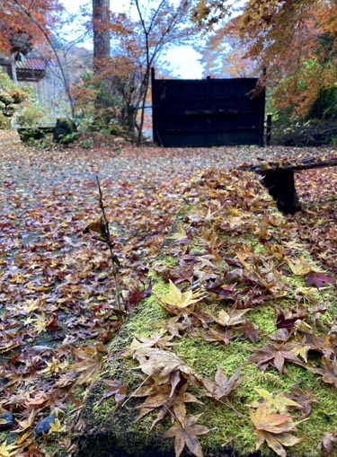 秩父札所 第三十二番 般若山 法性寺