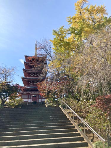 千葉県の紅葉スポット 本土寺 あじさいで有名なお寺