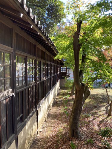 千葉県の紅葉スポット 本土寺 あじさいで有名なお寺