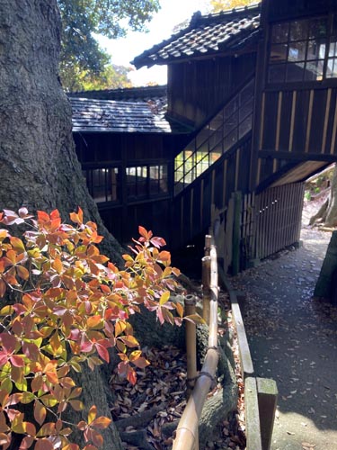 千葉県の紅葉スポット 本土寺 あじさいで有名なお寺
