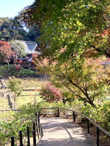 千葉県の紅葉スポット 本土寺 あじさいで有名なお寺