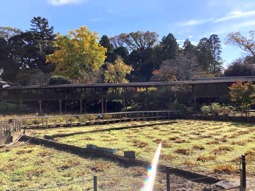千葉県の紅葉スポット 本土寺 あじさいで有名なお寺