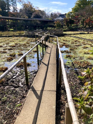 千葉県の紅葉スポット 本土寺 あじさいで有名なお寺