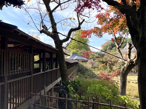 千葉県の紅葉スポット 本土寺 あじさいで有名なお寺