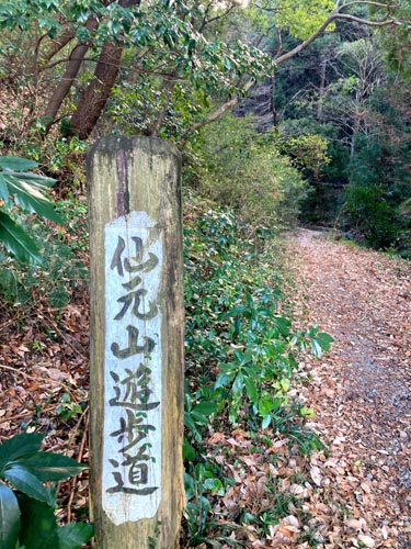 仙元山と武州うどん