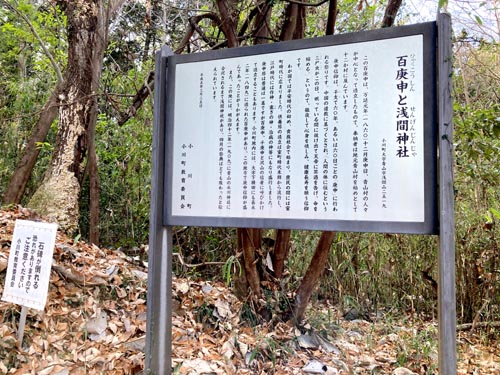 仙元山と武州うどん
