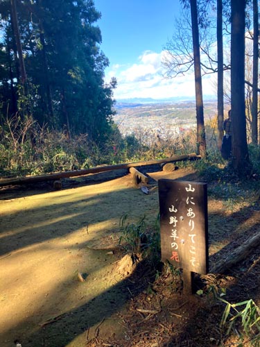 仙元山と武州うどん