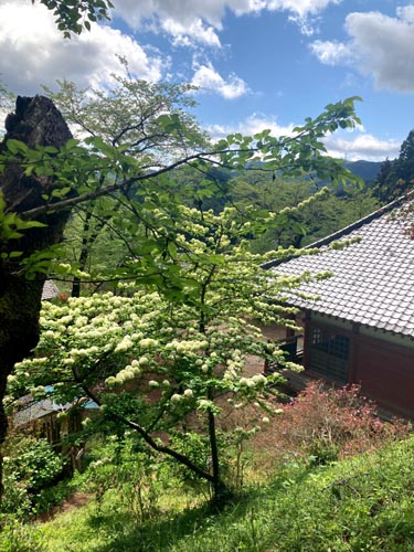 太田道灌で有名な埼玉県越生地区はハイキングの町