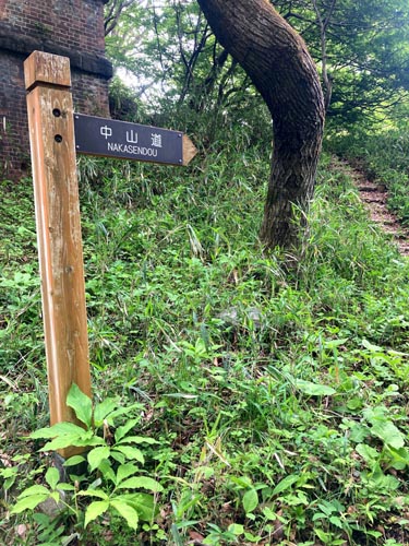 旧碓氷峠のめがね橋_廃線跡を歩く